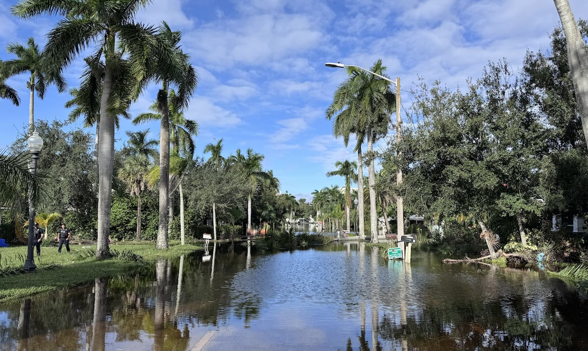 Mareas vivas activan alerta por inundaciones en Miami