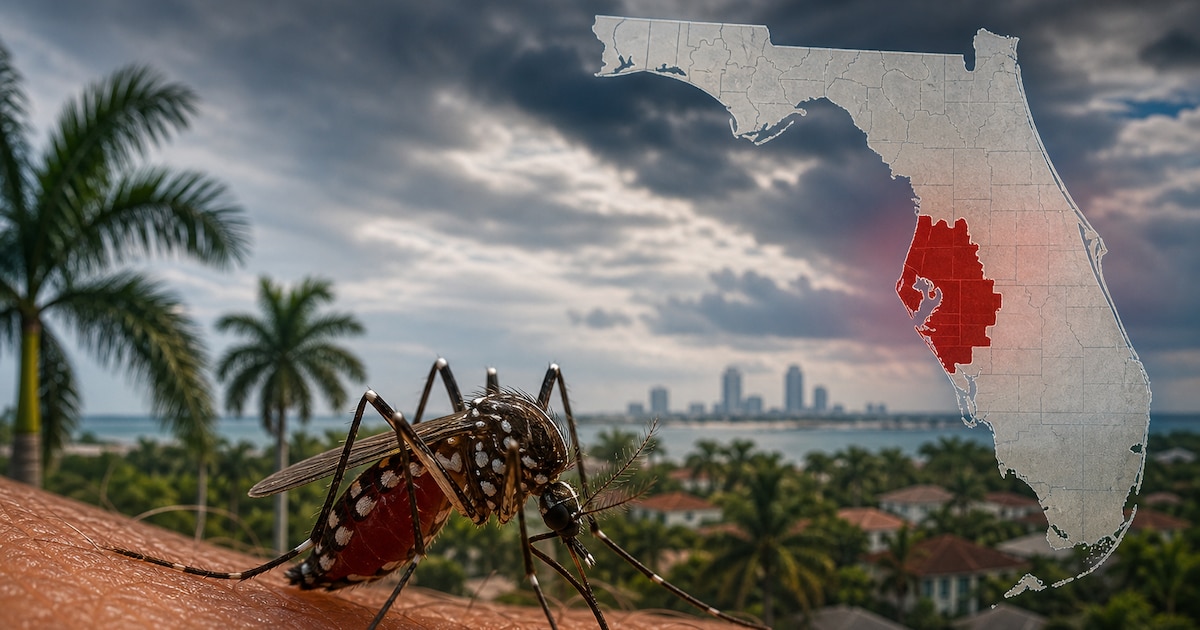 Hillsborough enfrenta alerta de dengue con 59 casos locales