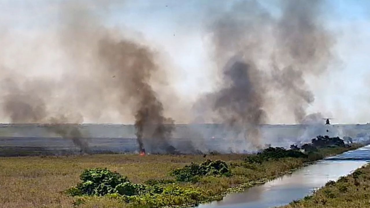 Incendio descontrolado en Miami destruye más de 100 hectáreas de naturaleza